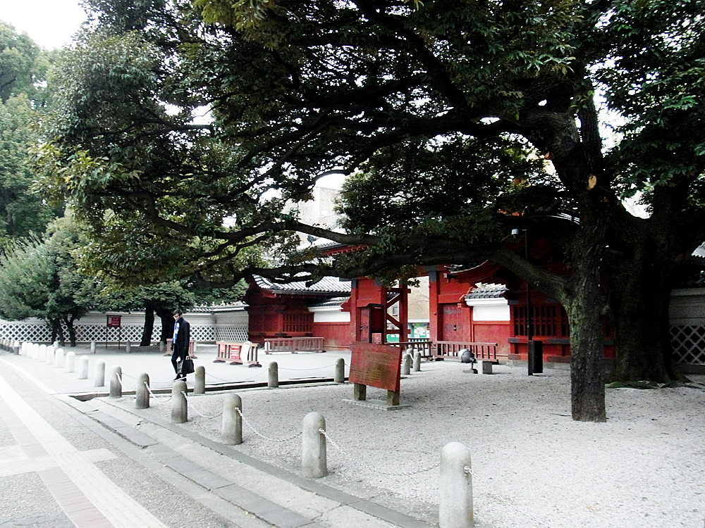 Tokyo University