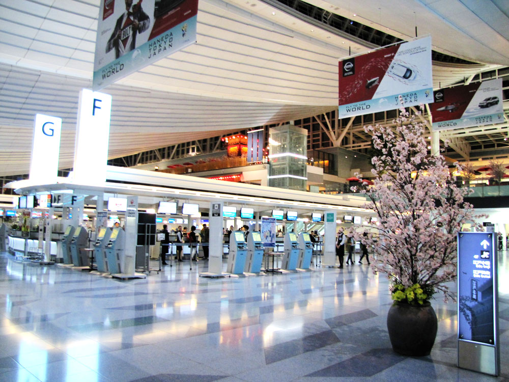 Studying abroad in Japan to become a flight attendant or an airport ground staff