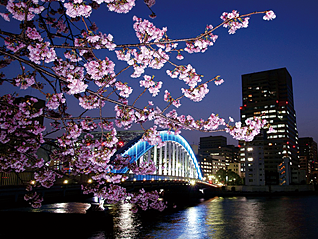 Sumiddgawa Bridge