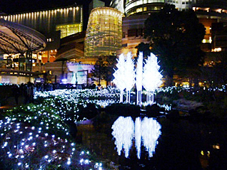 Roppongi  Illumination tour