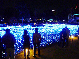 Roppongi Illumination tour