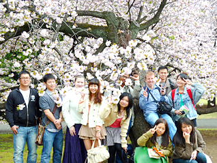 Sakura events in Shinjuku park