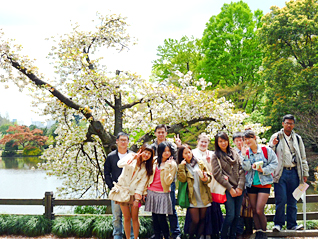 Sakura events in Shinjuku park