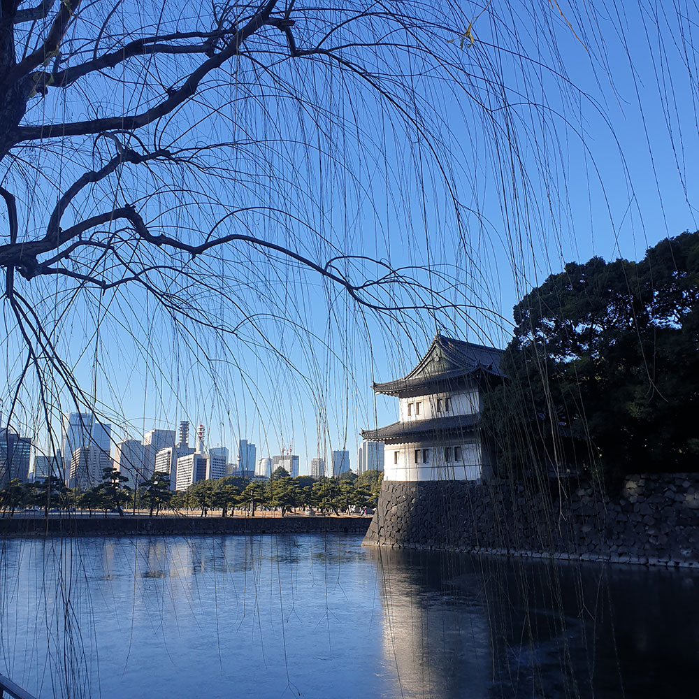 Graduates Interview: Passing the entrance exam of Rikkyo University College of Intercultural Communication