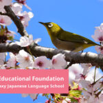 A guide to Tokyo Galaxy’s Optional Subjects Curriculum