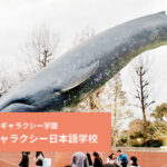 東京・上野 国立科学博物館で日本・地球・宇宙について知ろう!